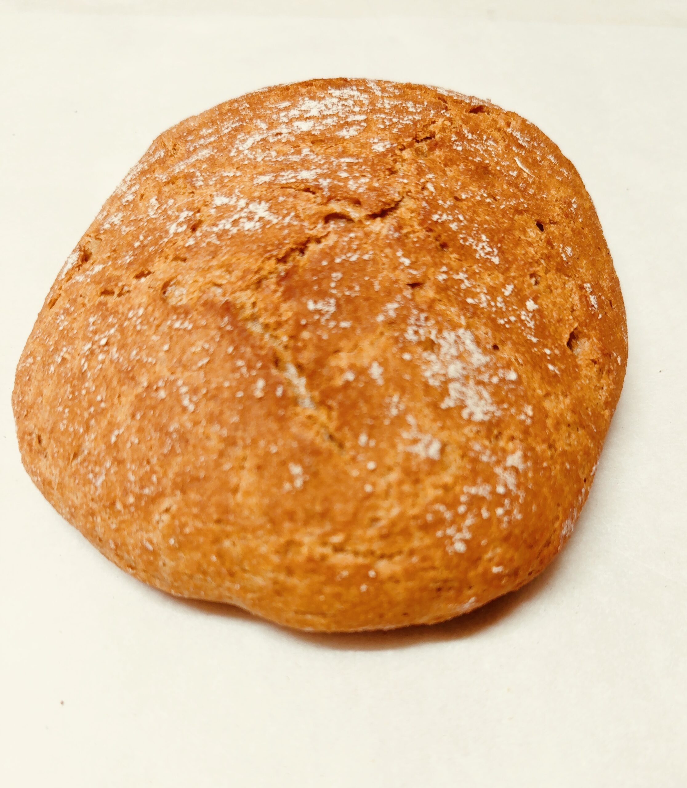 engrains petit épeautre bio levain pauvre en gluten